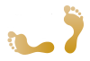 logo Na vlastní nohy